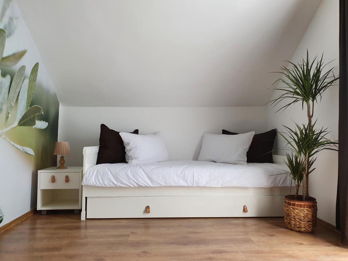 יסניצה Apartmani Masline מראה חיצוני תמונה